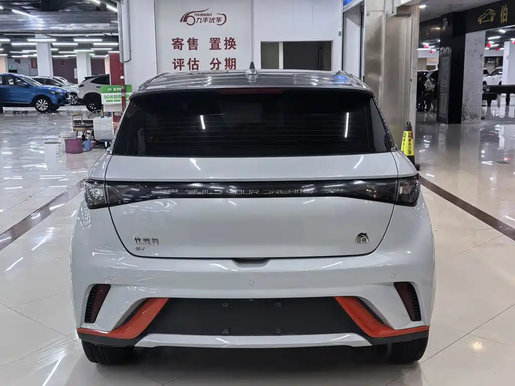 BYD Dolphin — миниатюра 5