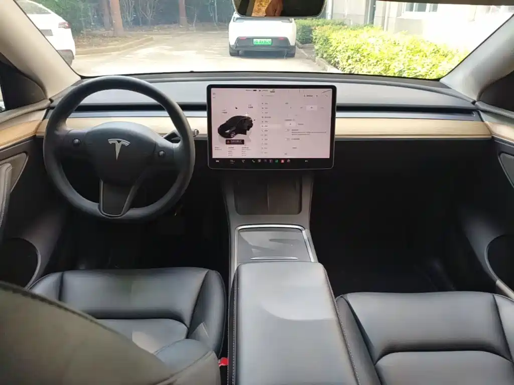 Tesla Model Y — миниатюра 10