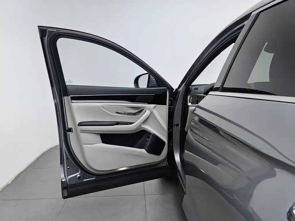 BYD PLUS New Energy — миниатюра 8