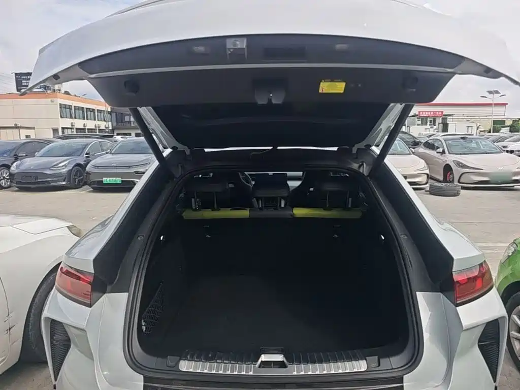 BYD L EV — миниатюра 19