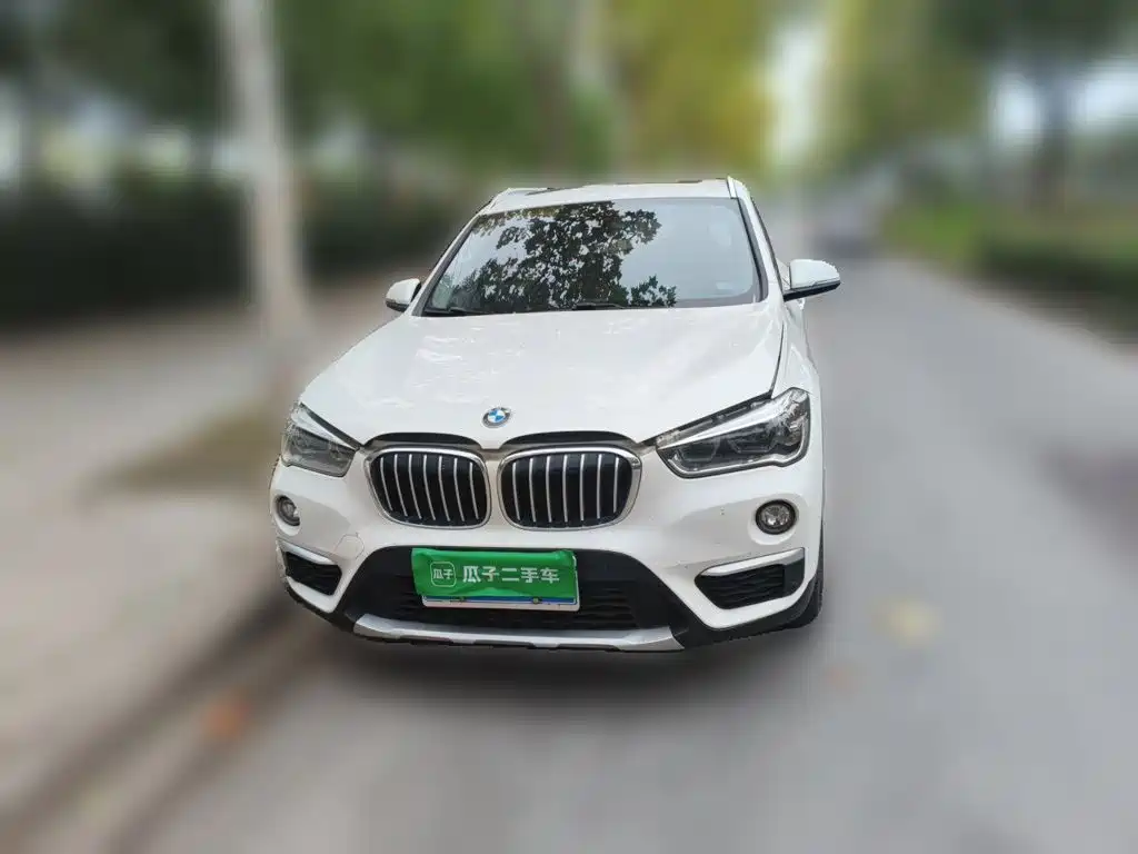 BMW X1 — миниатюра 2