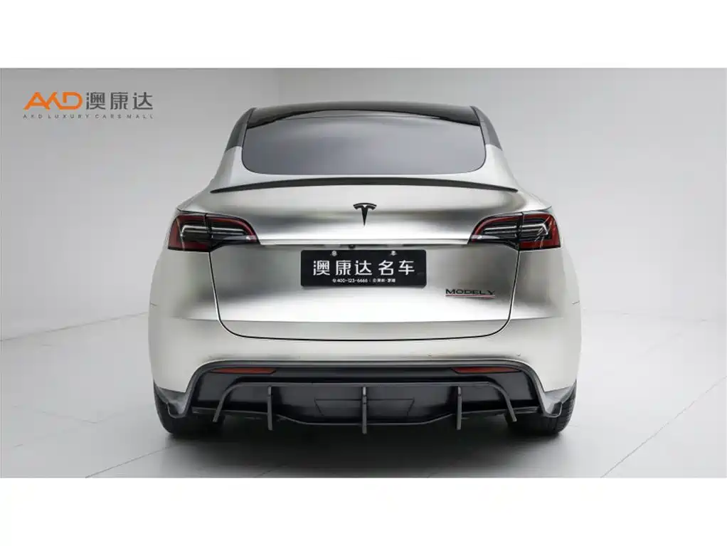 Tesla Model Y — миниатюра 4