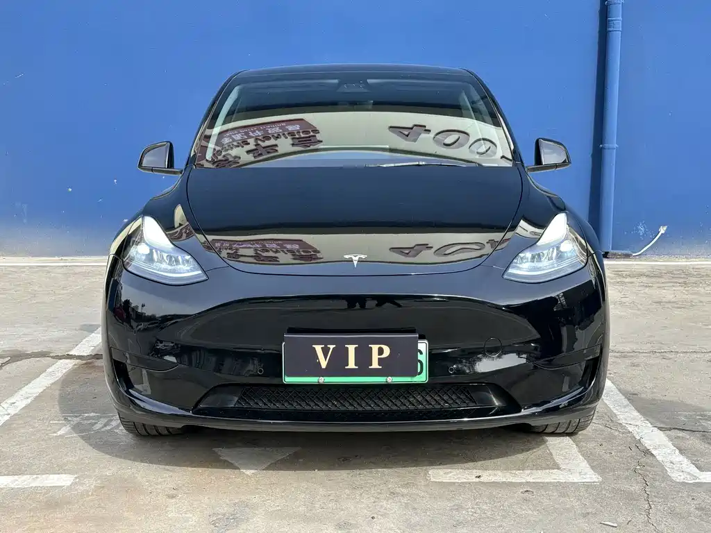 Tesla Model Y — миниатюра 2