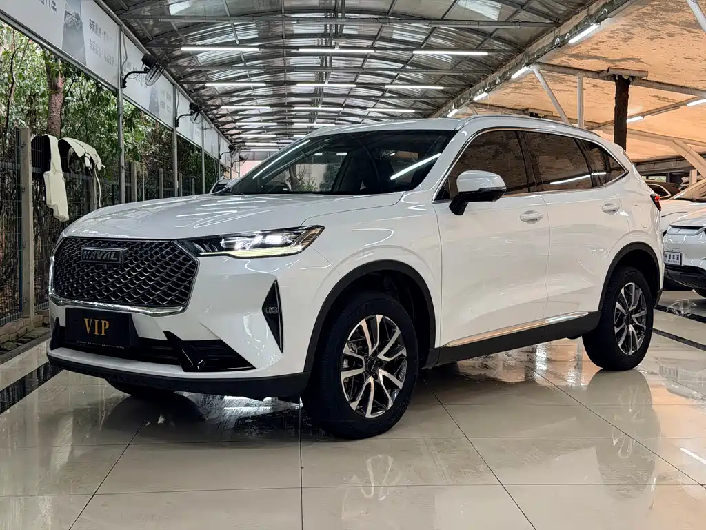 Haval H6 — миниатюра 10