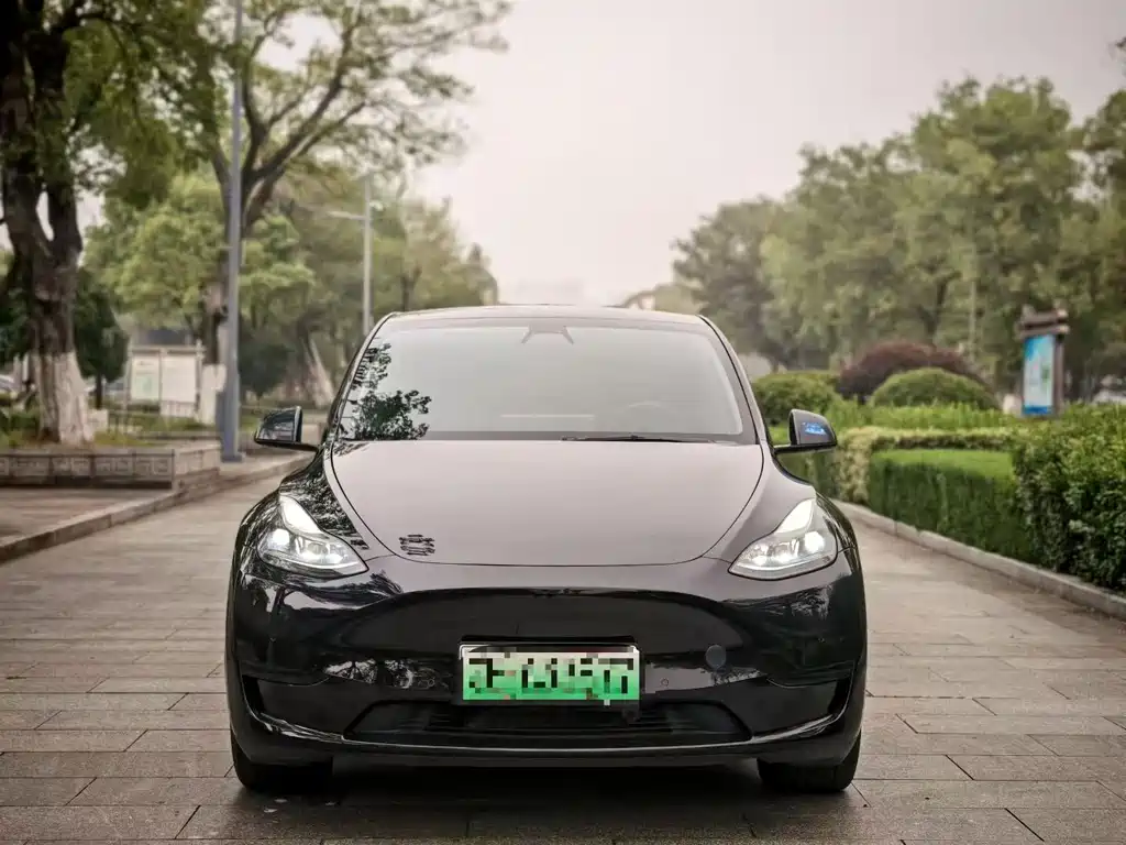 Tesla Model Y — фотографии объявления, Фото 2