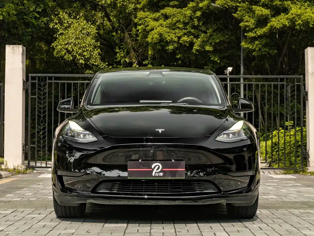 Tesla Model Y — миниатюра 2