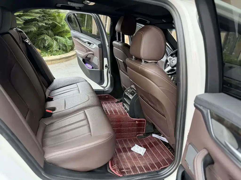 BMW 5 Series 5 2019 525Li M Sport