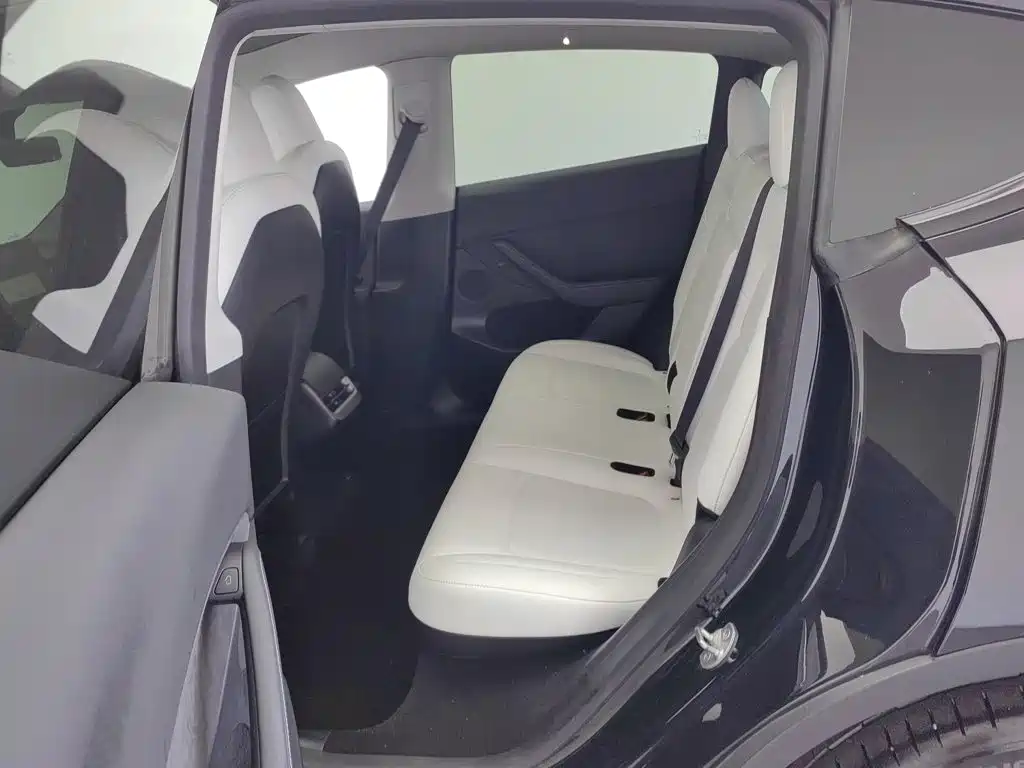 Tesla Model Y — миниатюра 15