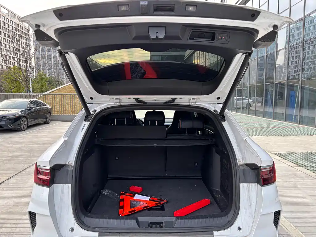 BYD SONGJIANG NEW ENERGY