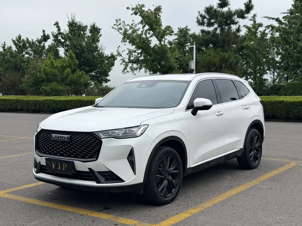 Haval H6 — миниатюра 3