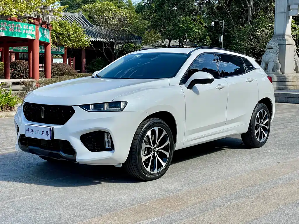 WEI PAI WEI BRAND VV7