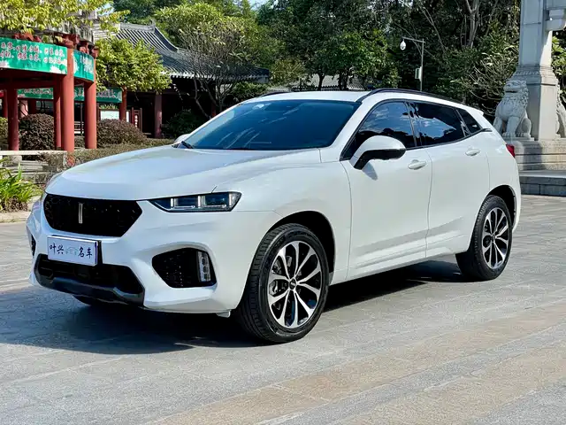 WEI PAI WEI BRAND VV7 2018