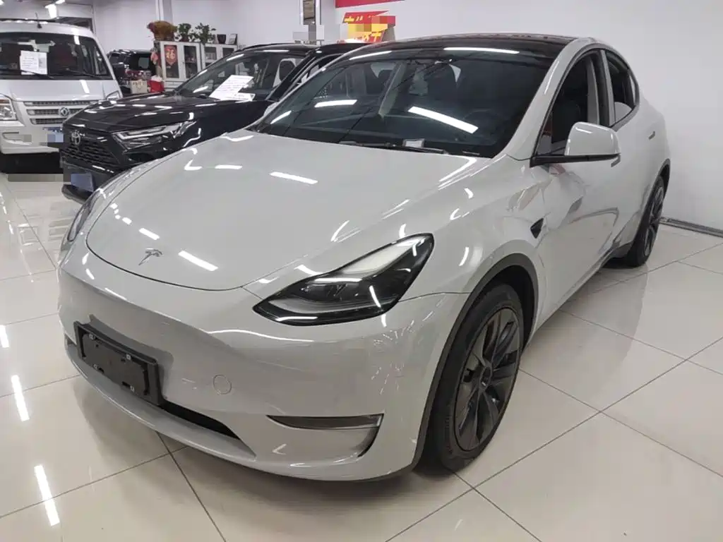 Tesla Model Y — миниатюра 2