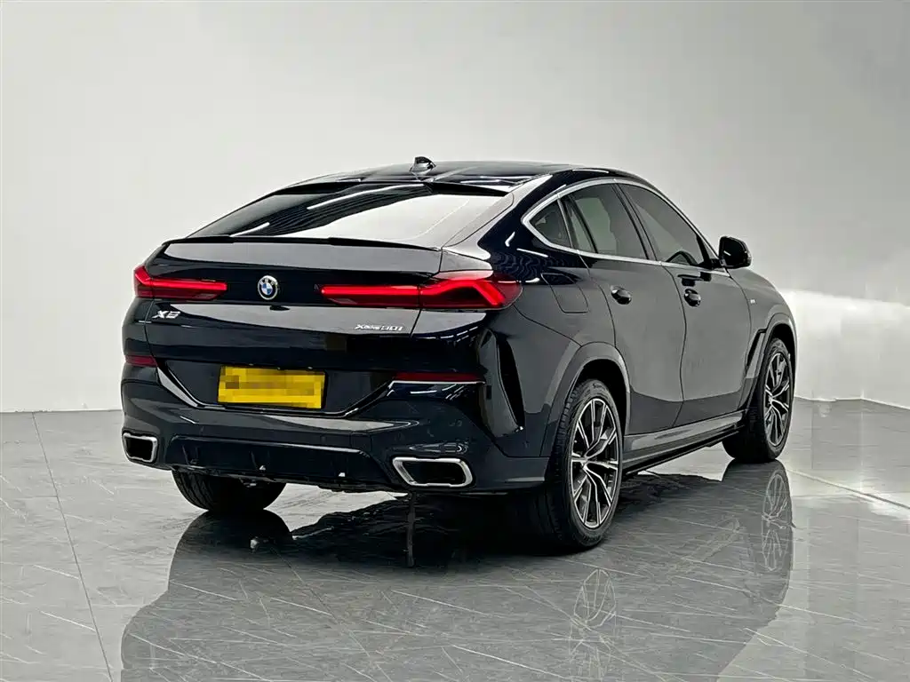 BMW X6 2021 xDrive30i M Sport