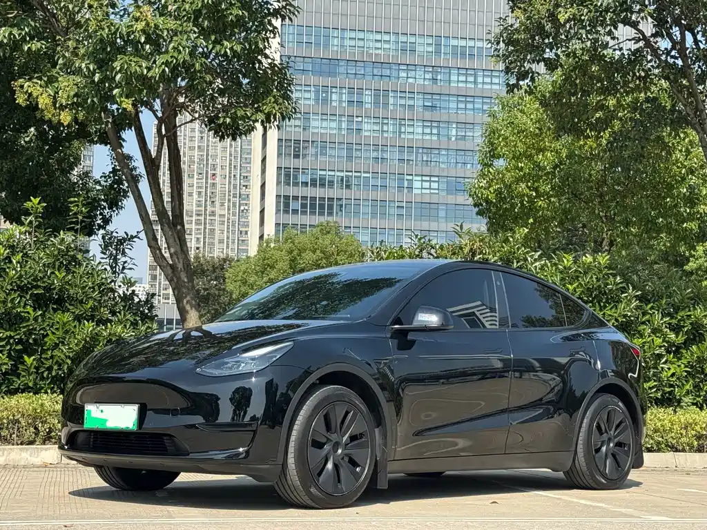 Tesla Model Y — миниатюра 2