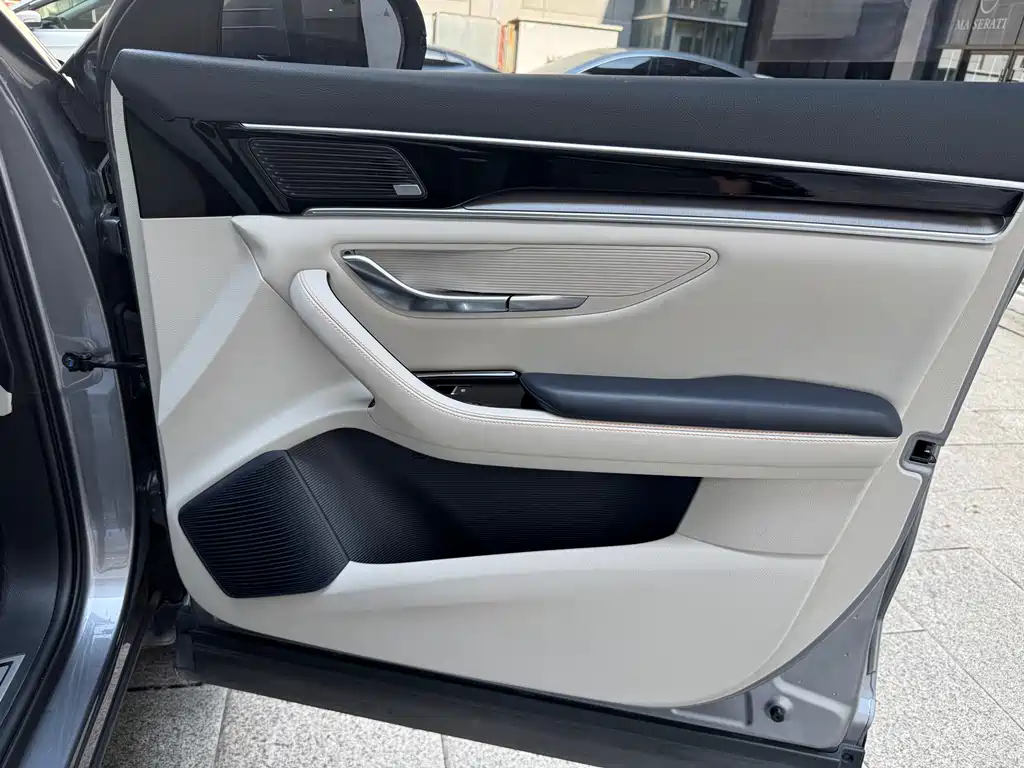 BYD PLUS New Energy — миниатюра 14