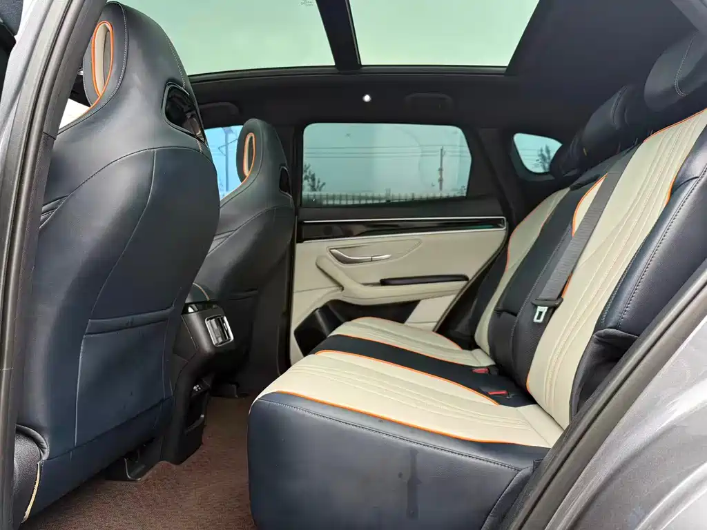 BYD PLUS New Energy — миниатюра 12