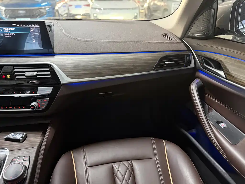 BMW 5 Series New Energy 530Le Luxury Package, фото 11