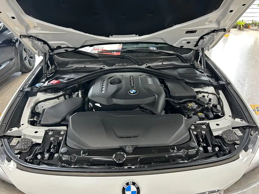 BMW 3 Series GT — миниатюра 15