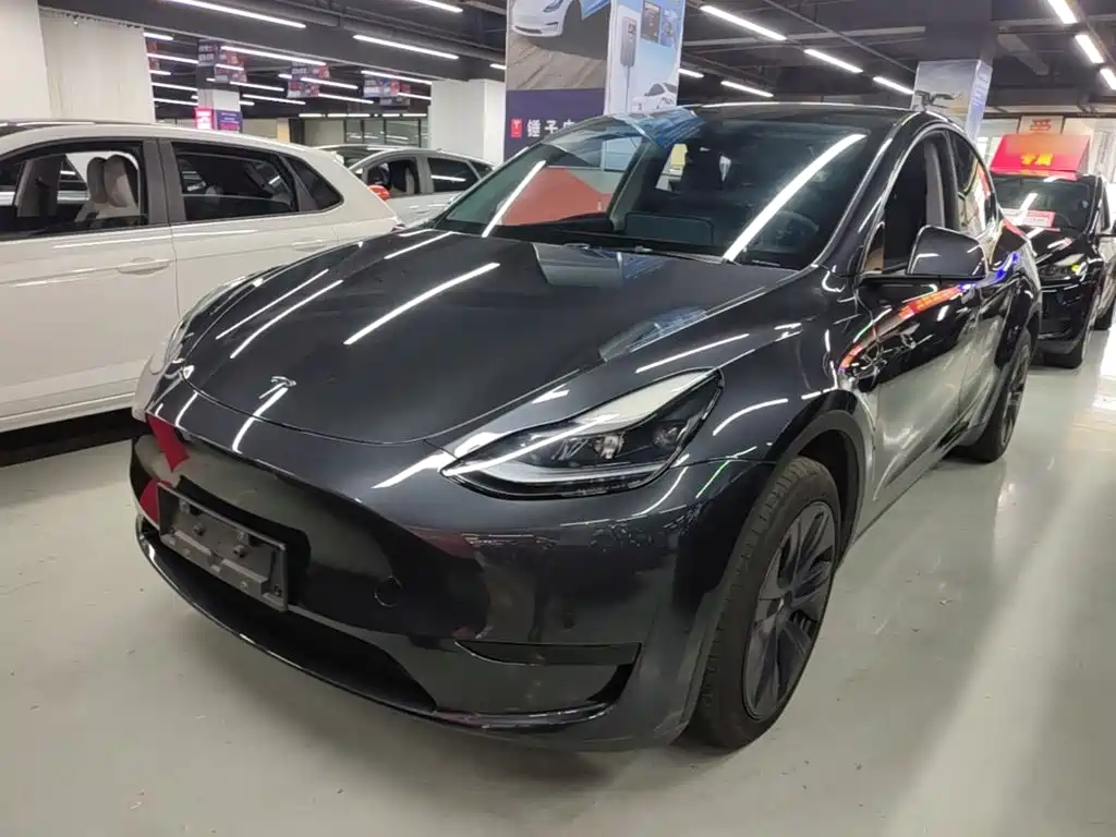 Tesla Model Y — миниатюра 2