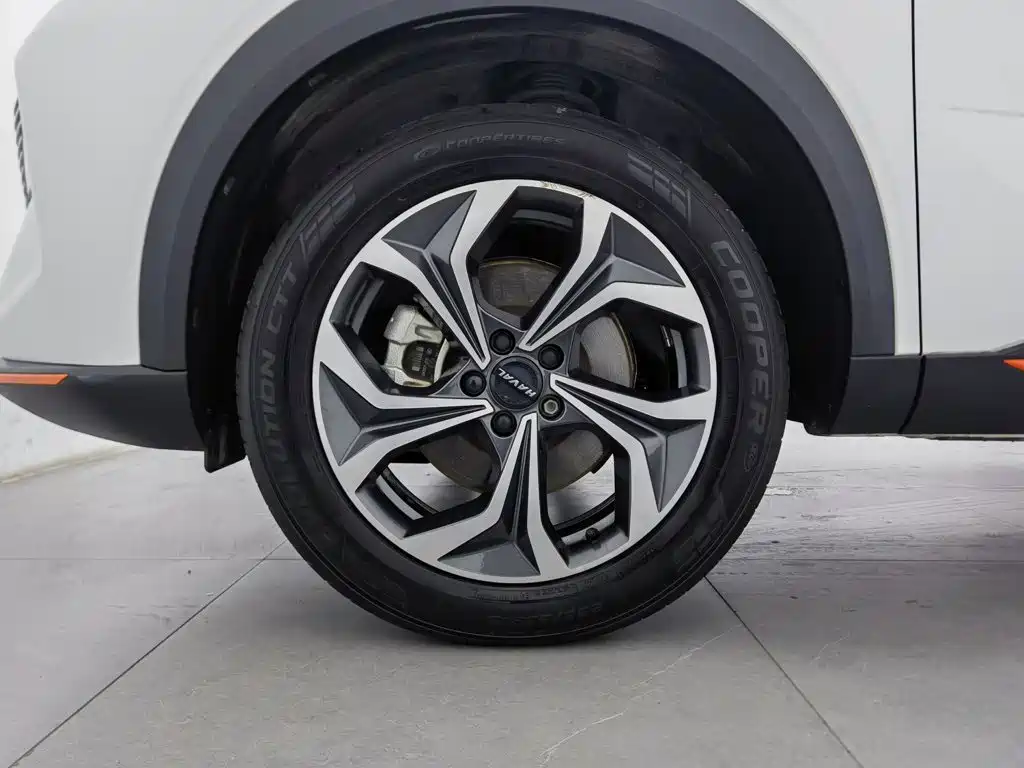 Haval Shenshou — миниатюра 17