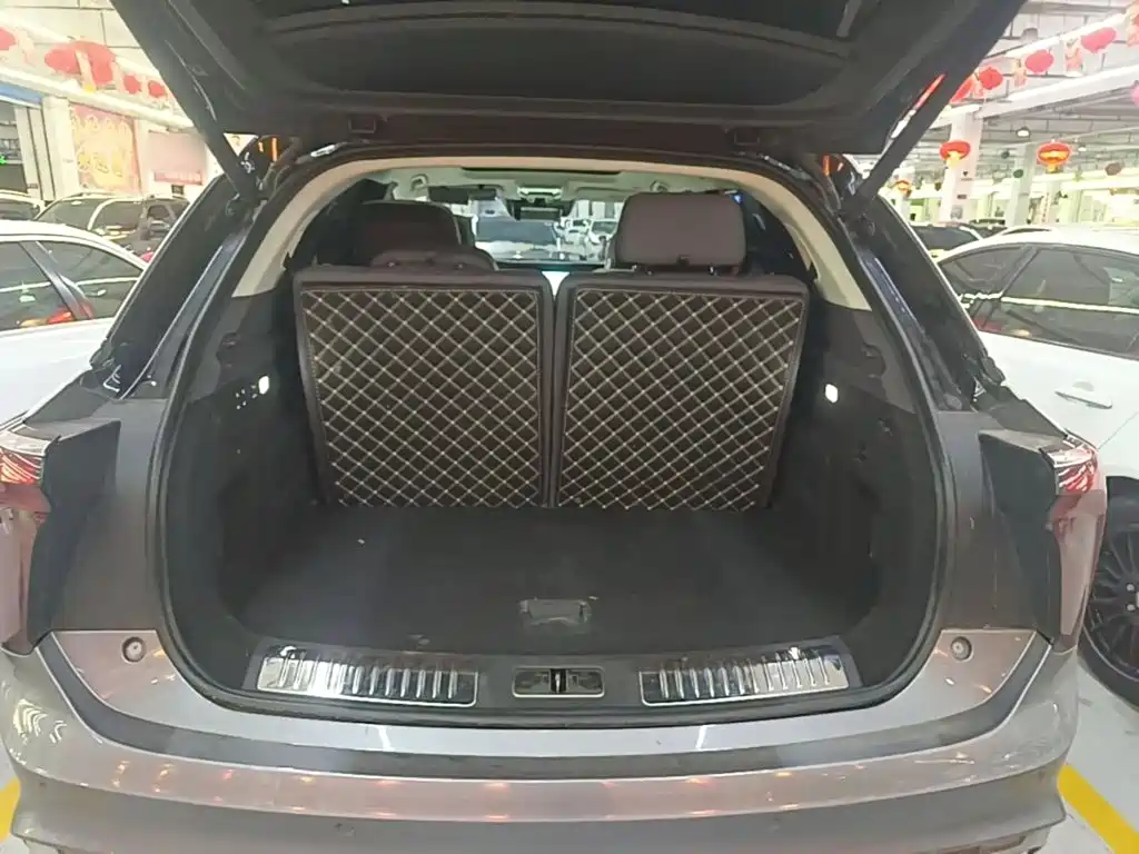 Hongqi Hongqi E-HS9 — миниатюра 19