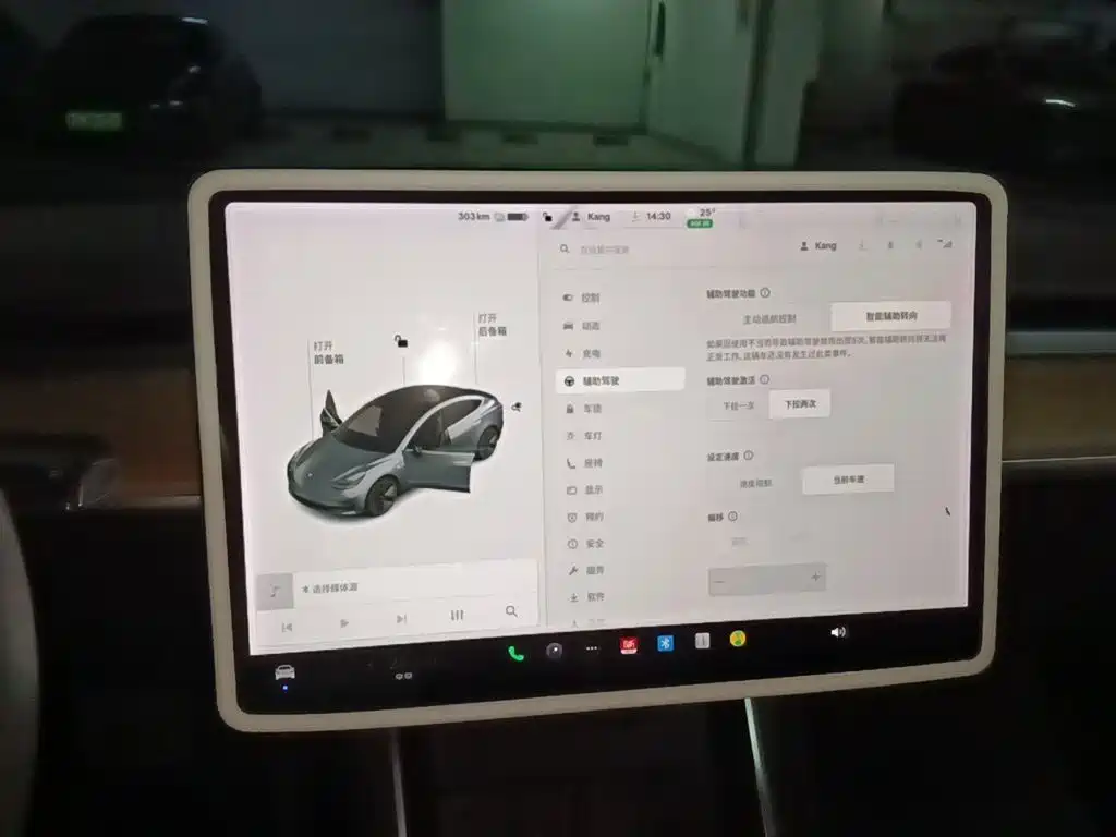Tesla Model 3 — миниатюра 20