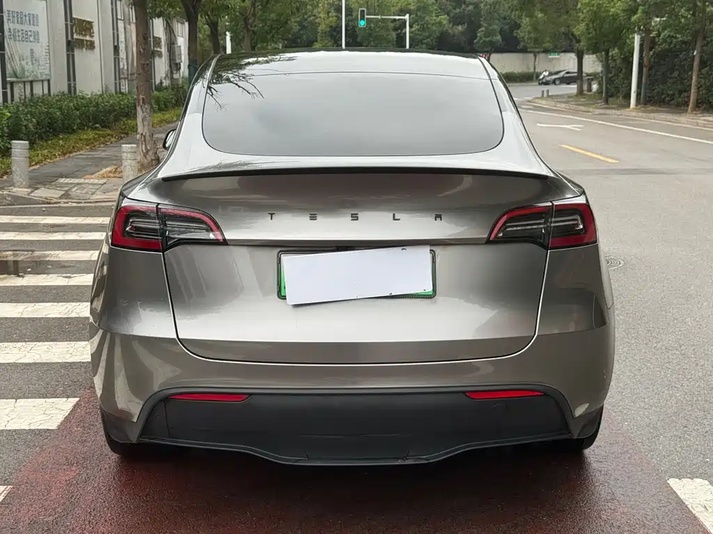 Tesla Model Y — миниатюра 5