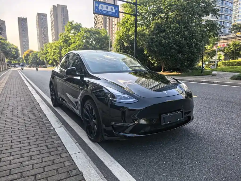 Tesla Model Y — миниатюра 3