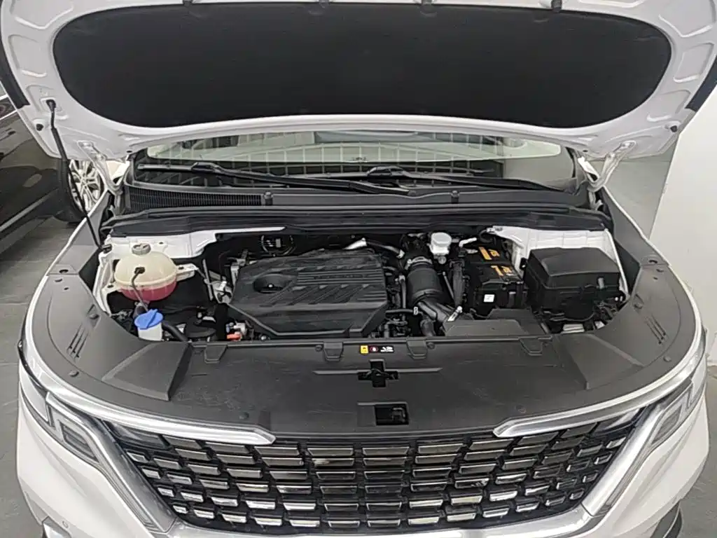 Kia Carnival — миниатюра 16