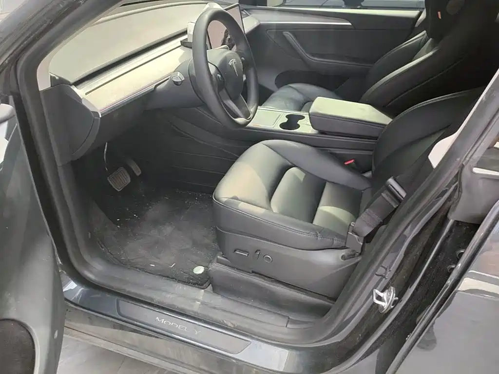 Tesla Model Y — миниатюра 15