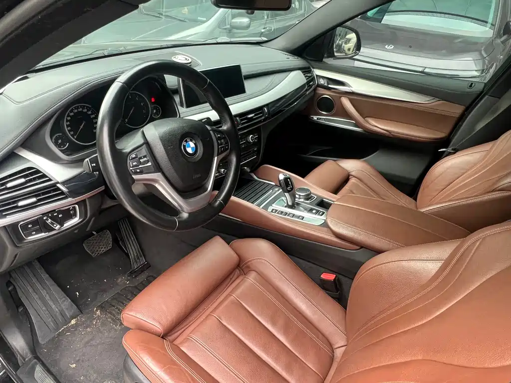 BMW X6 — миниатюра 7