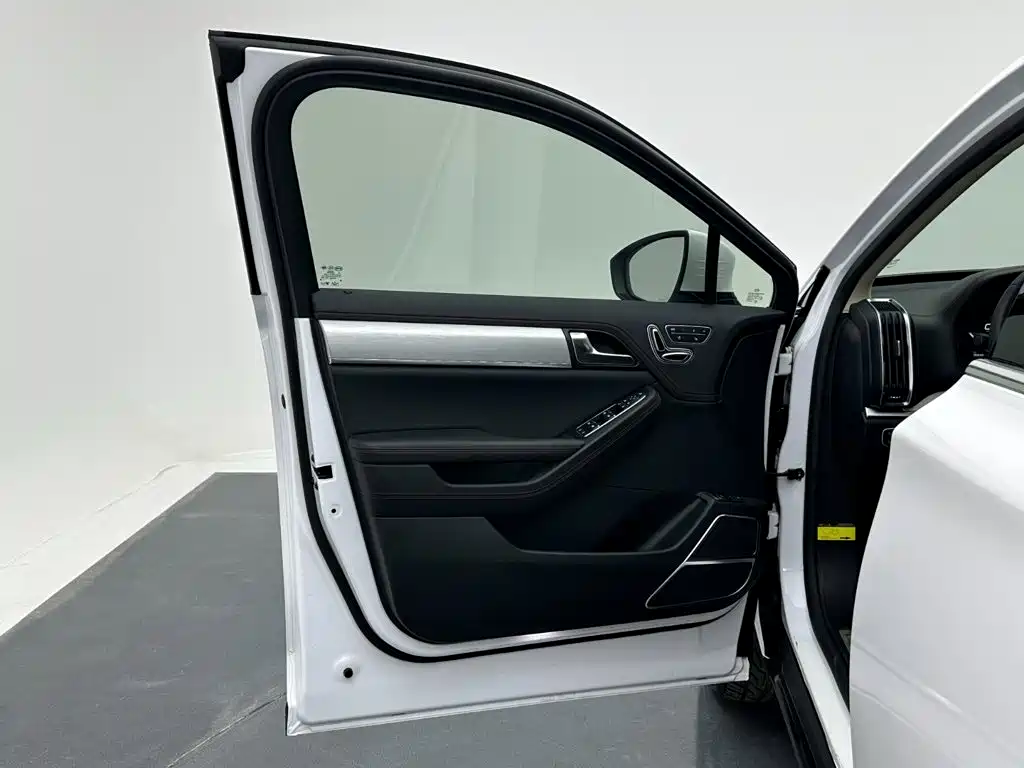 BYD Tang New Energy — миниатюра 11
