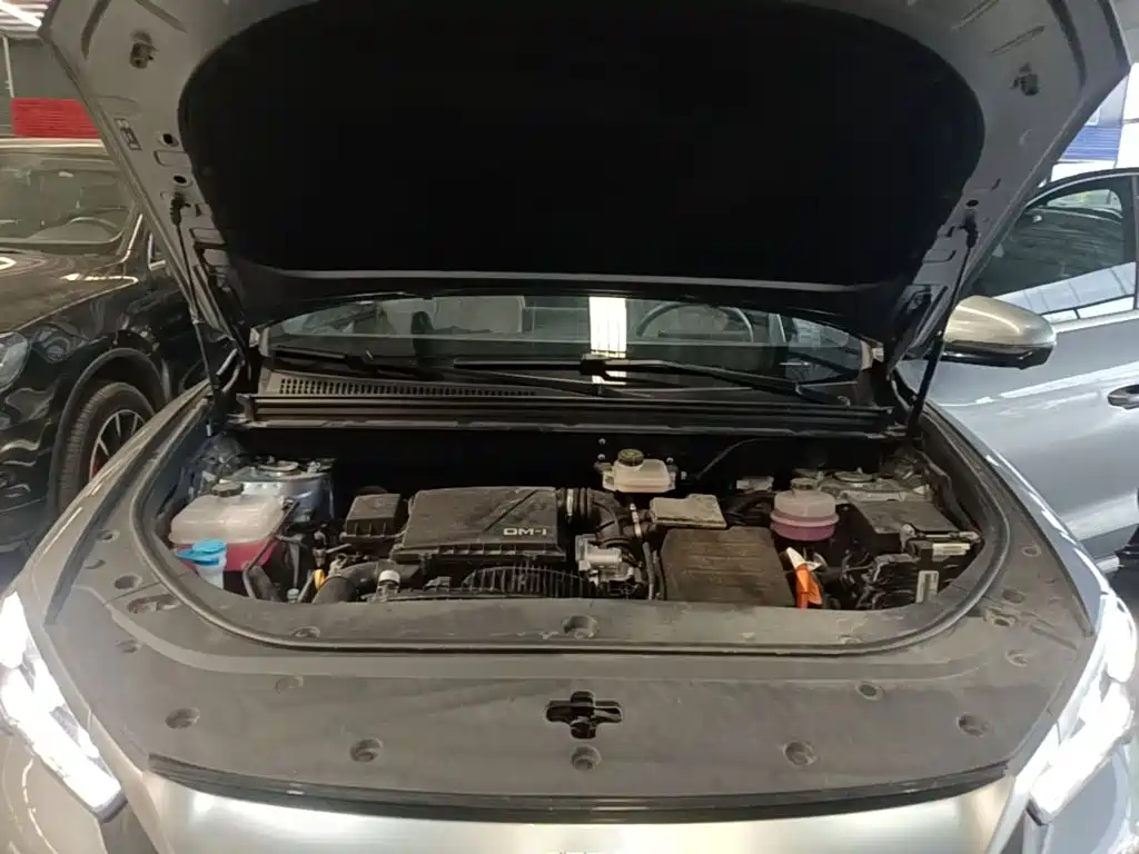 BYD Pro New Energy — миниатюра 20