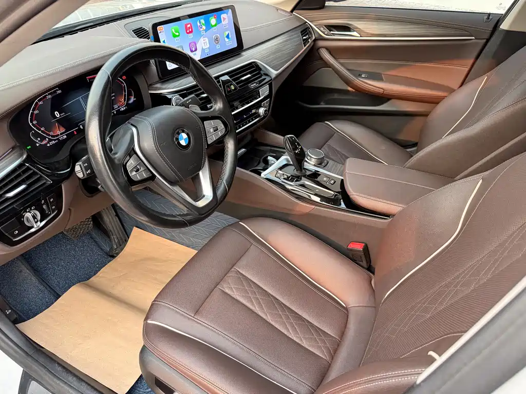 BMW 5 Series 5 2021 530Li Lead Luxury