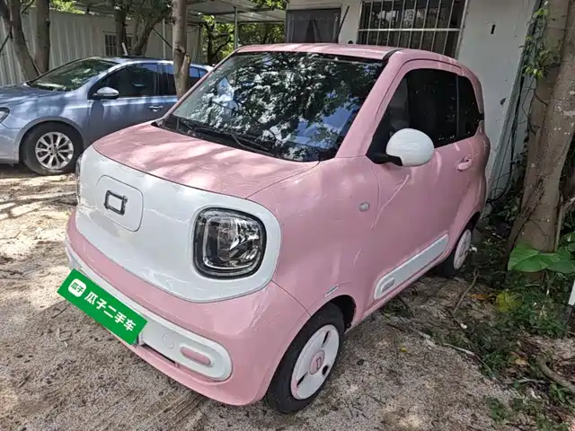 2024 Bestune Pony