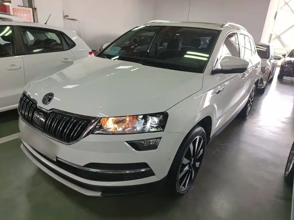 Skoda Karoq — миниатюра 2