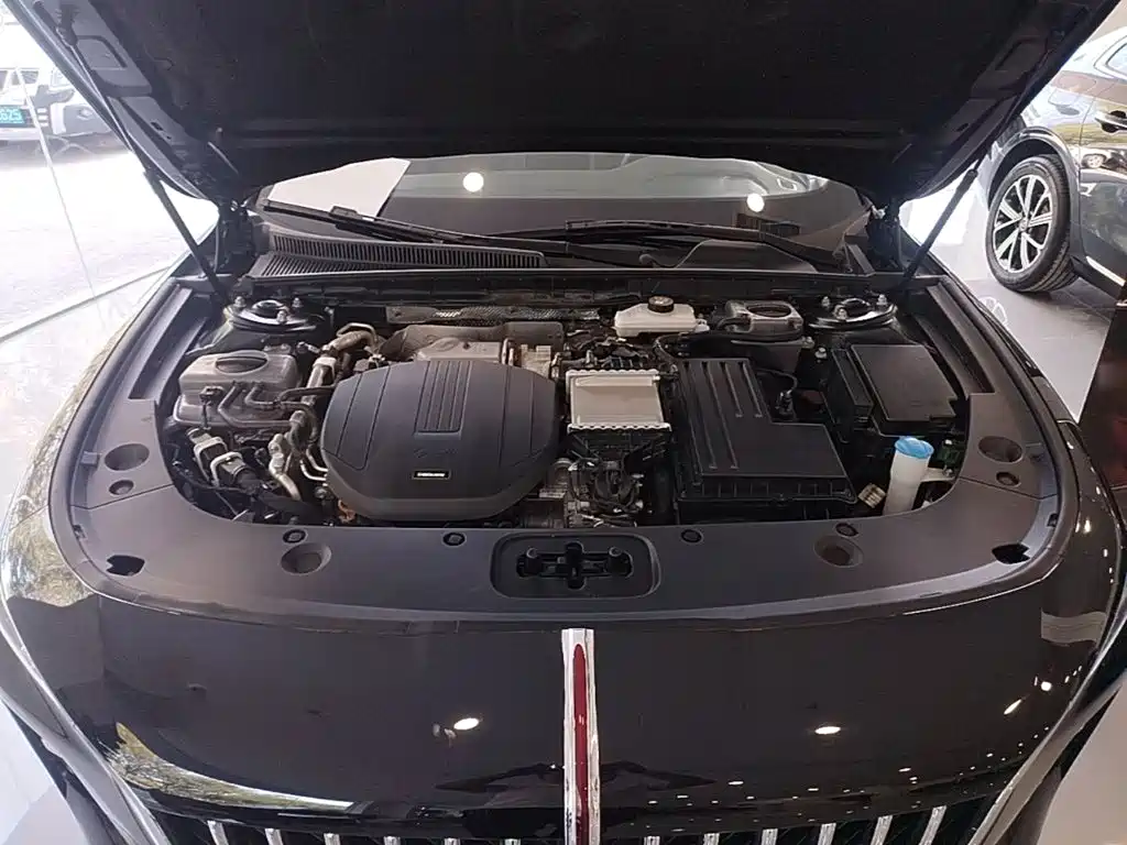 Hongqi Hongqi H5 PHEV — миниатюра 20