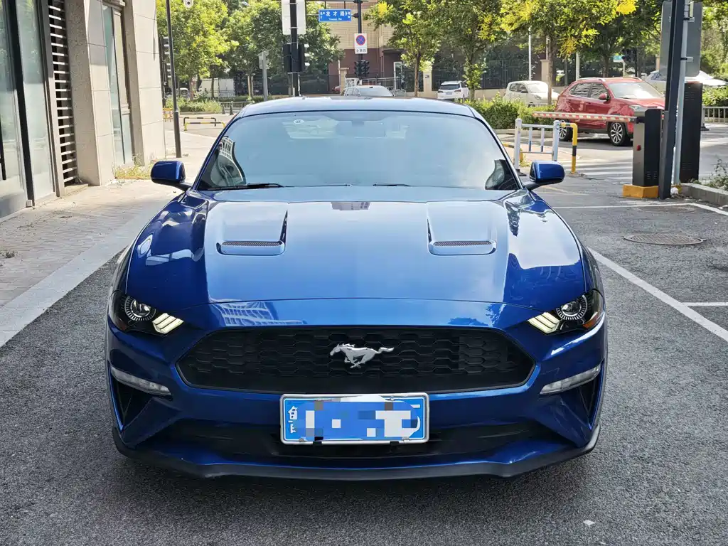 Ford Mustang — миниатюра 2