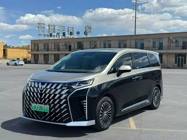 2023 Denza D9