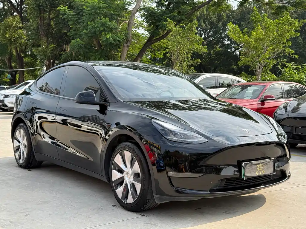 Tesla Model Y — миниатюра 3