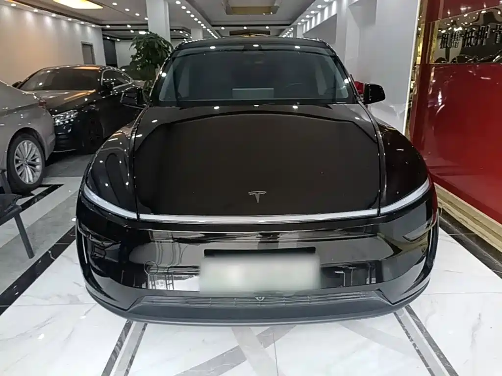 Tesla Model Y — миниатюра 3
