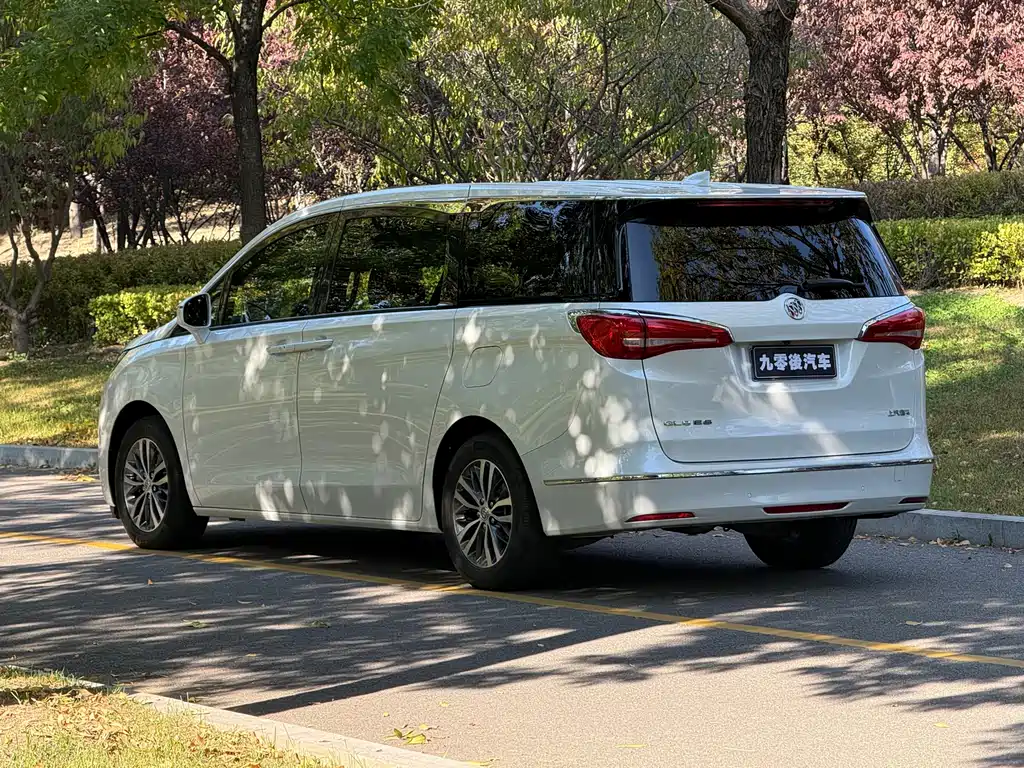 Buick GL8 — миниатюра 9