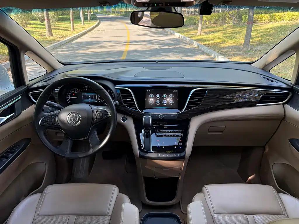 Buick GL8 — миниатюра 24
