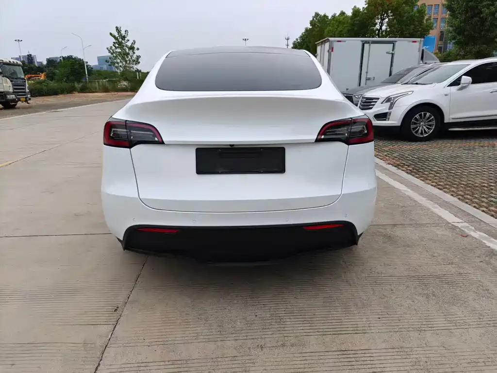 Tesla Model Y — миниатюра 6