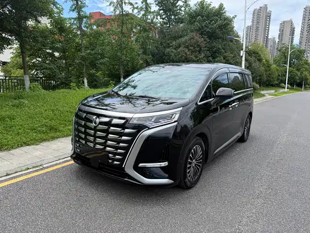2023 Denza D9