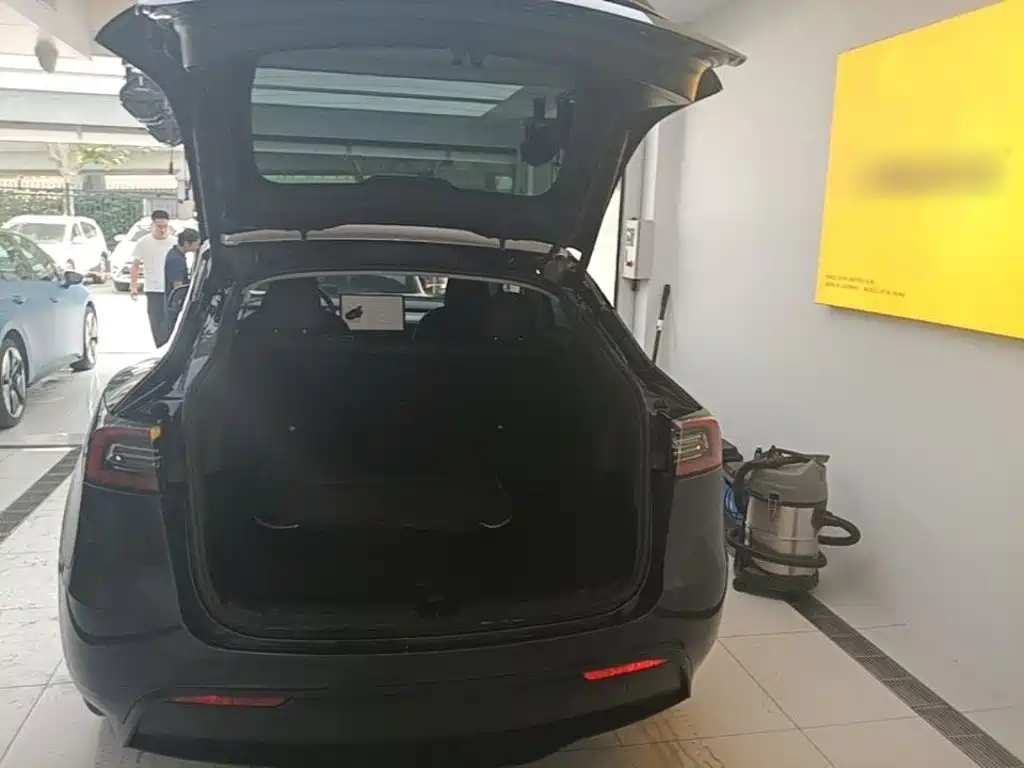 Tesla Model Y — миниатюра 19