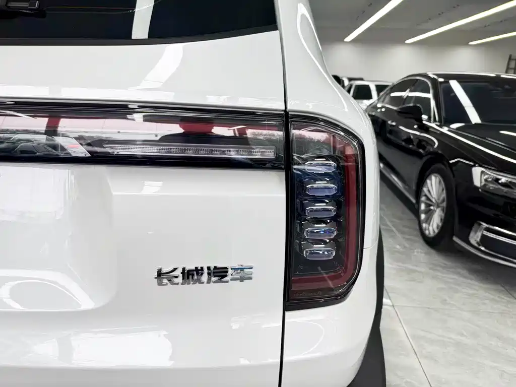Haval Big Dog — миниатюра 23