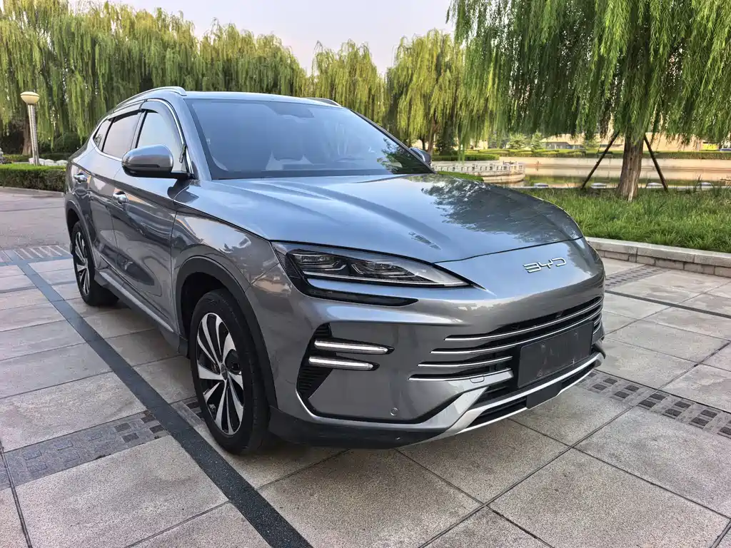 BYD PLUS New Energy — миниатюра 2
