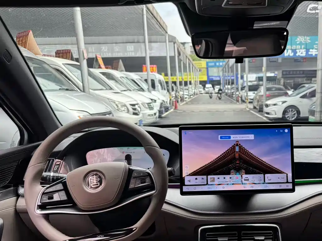 BYD Tang New Energy — миниатюра 5